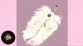 Decorative feather with 2 cages with stones inside